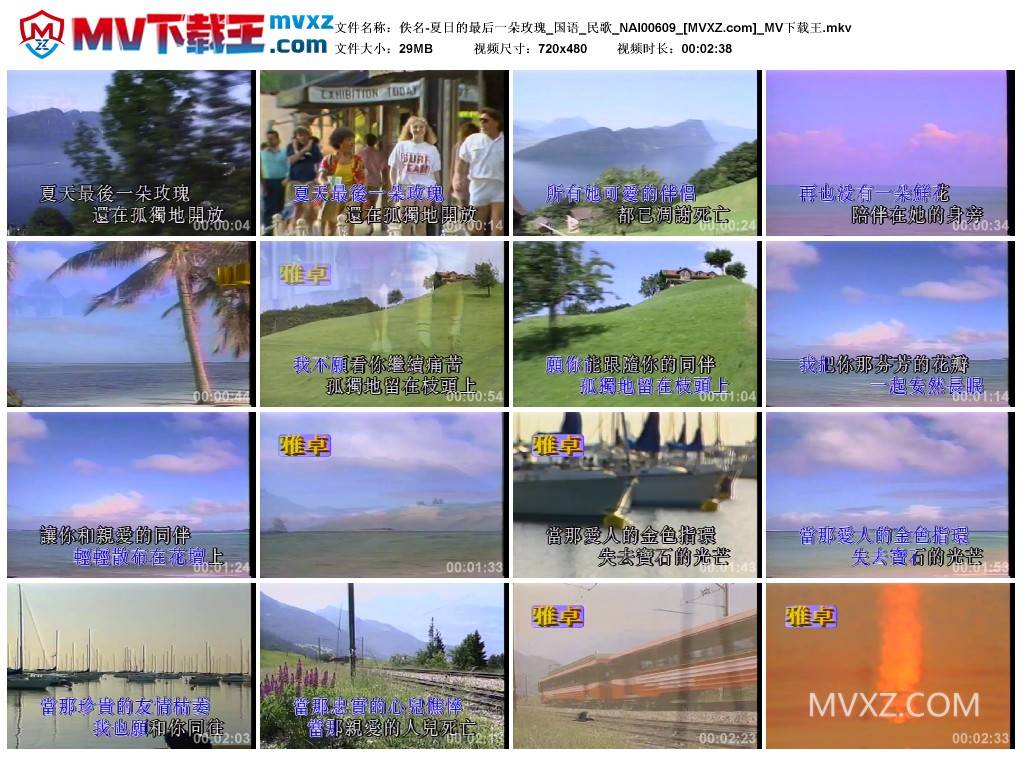 佚名-夏日的最后一朵玫瑰_国语_民歌_NAI00609